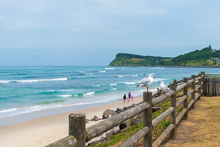 The beautiful beachside at Lennox Head, New South Wales, Australia.