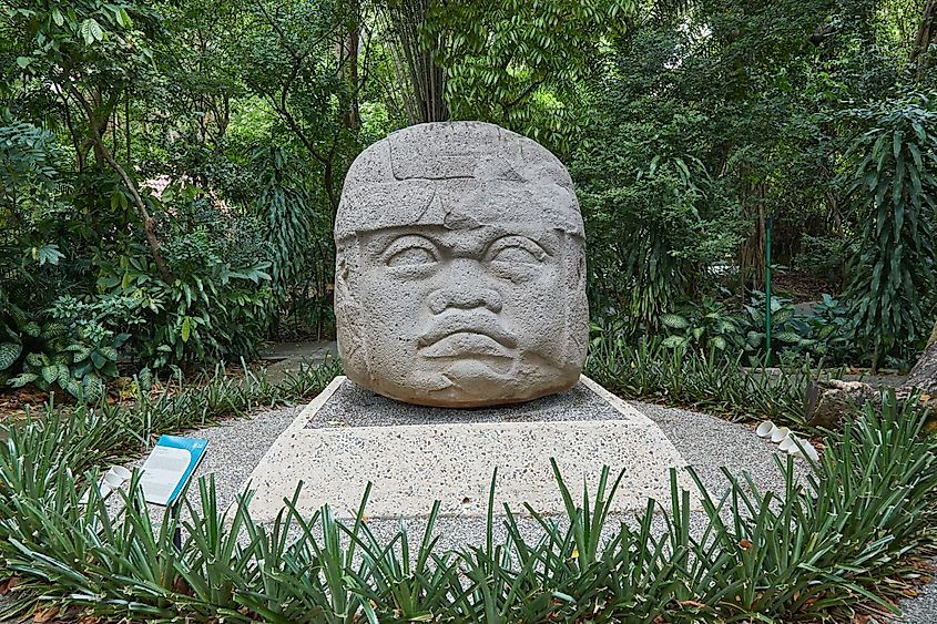 The outdoor museum of Parque Museo La Venta in Tabasco, Mexico, showcases an ancient Olmec head.
