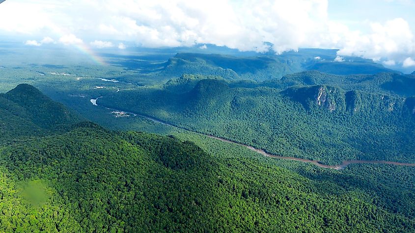 List of 5 Countries with Largest Forests in the World, by Yanuar Hadi
