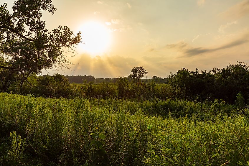 Moraine Hills State Park, McHenry, Illinois.