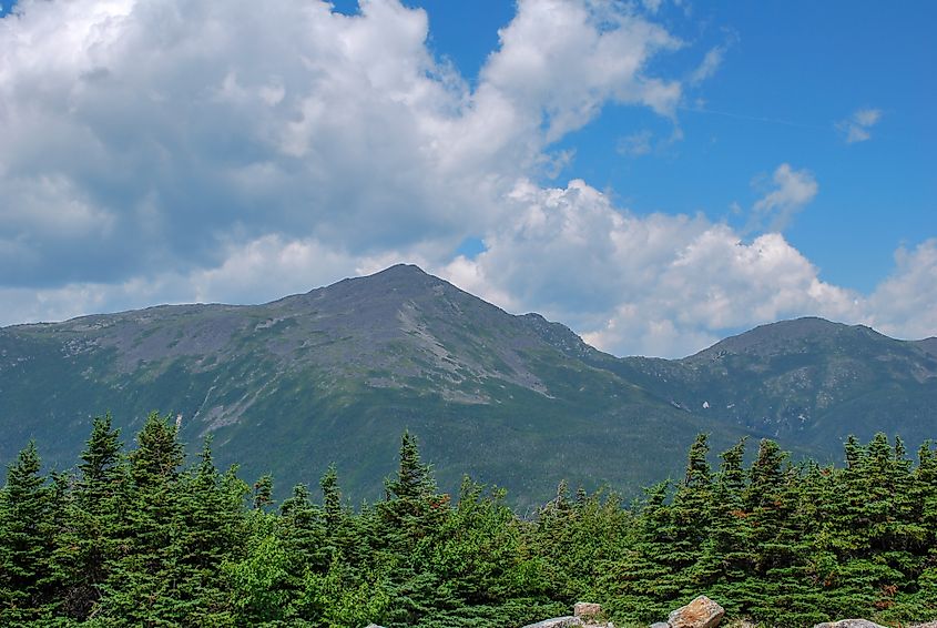 Mount Washington New Hampshire, View of Jagged peak with tree line in foregound