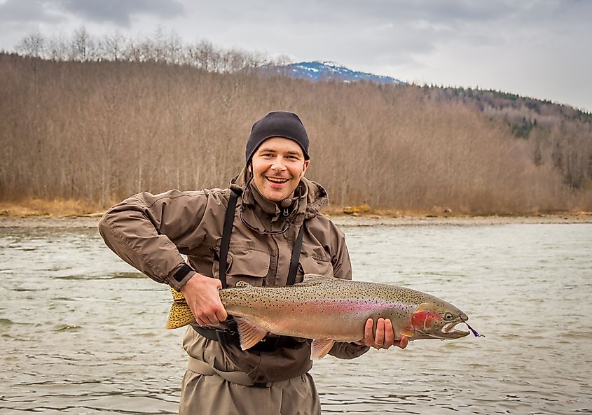 An angler holding up a large steelhead, rainbow trout in British Columbia.