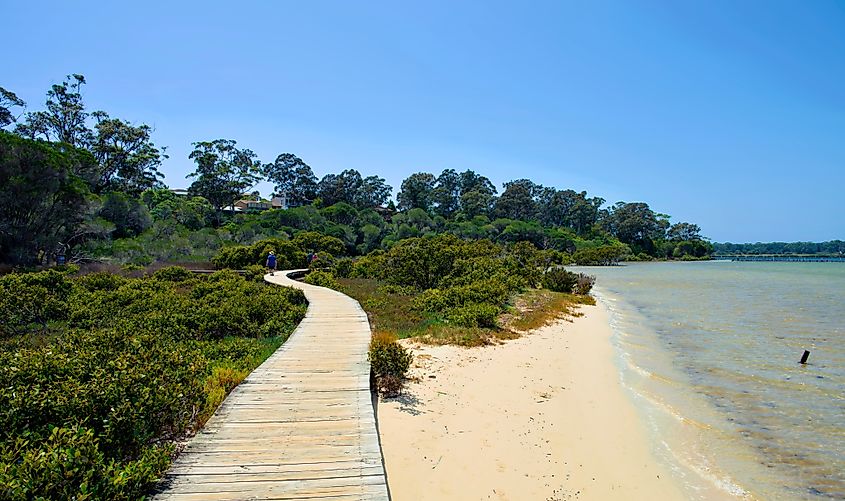 Merimbula Boardwalk and Boggy Creek.