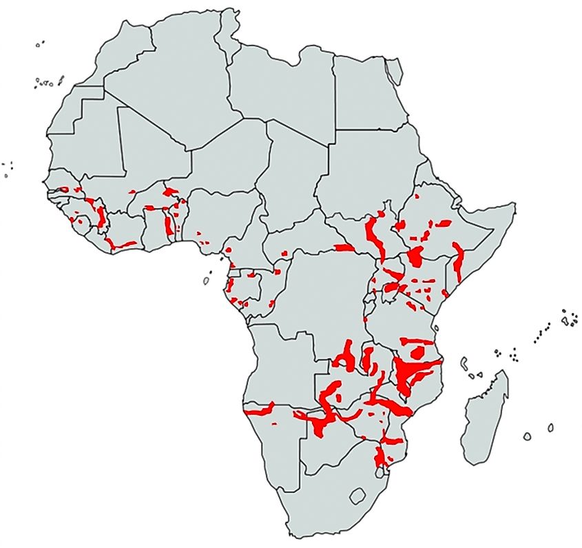 Map Of Hippo Habitat