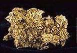 Gold Nugget