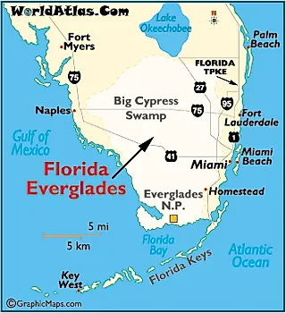 everglades usstates countrys namerica worldatlas