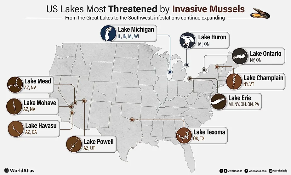 Infographic of US Lakes Most Threatened by Invasive Mussels. 