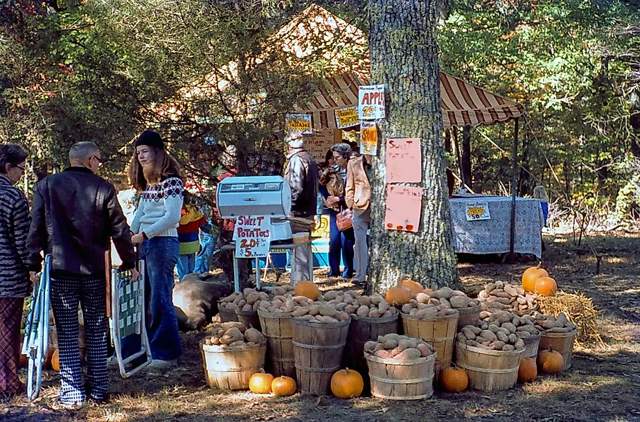 Sweet Potatoes & Pumpkins in Hohenwald, Tennessee, via Richard Melton on Flickr.com
