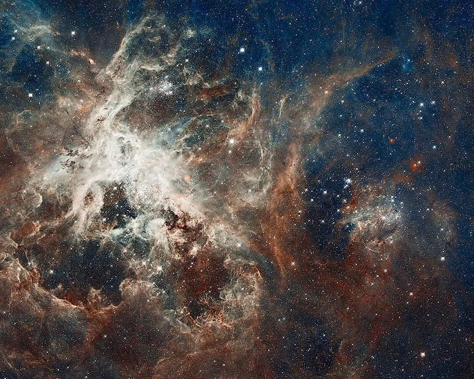 Hubble image of the Tarantula Nebula, a star-forming region home to R136a1, an extremely massive star. Image credit: NASA/ESA