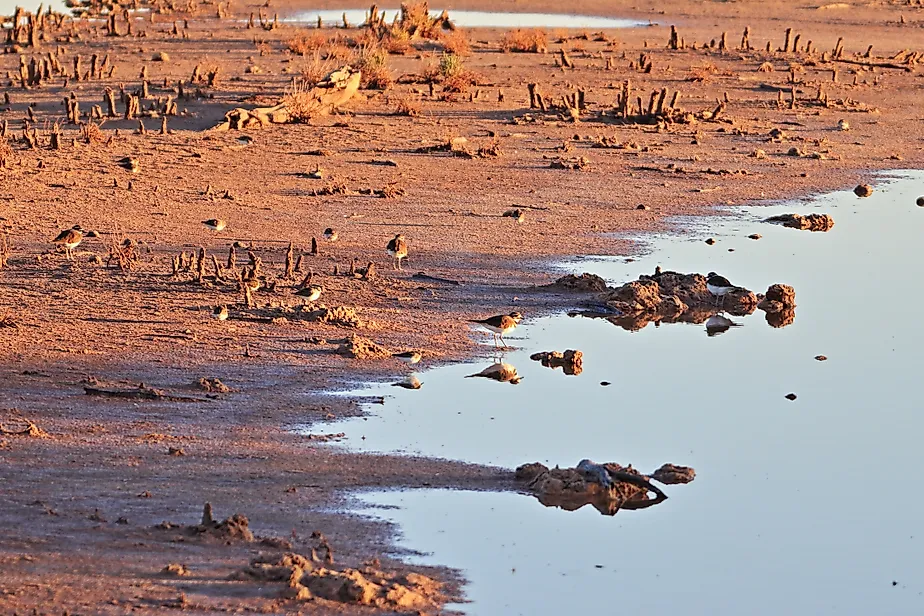 The red bluffs of the western edge of the Caprock, the Pecos River and Bitter Lakes National Wildlife Refuge at sunrise