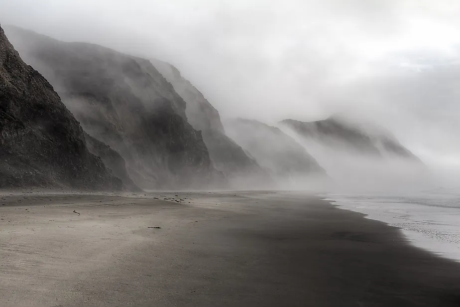 Beautiful foggy beach in Point Reyes, California. 