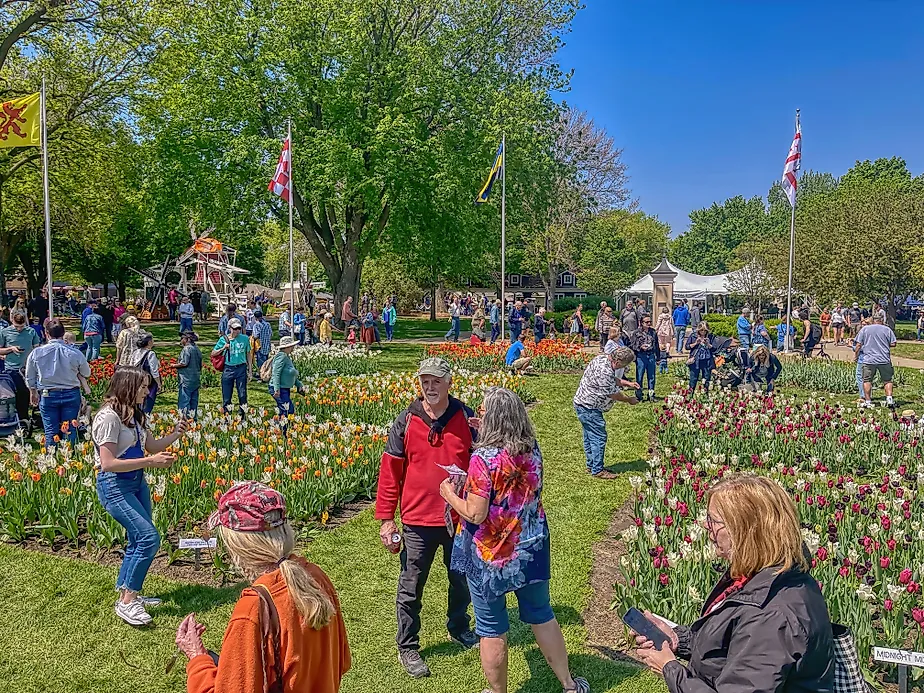 Annual Tulip Festival in Orange City, Iowa. Image credit: Jacob Boomsma / Shutterstock.com.