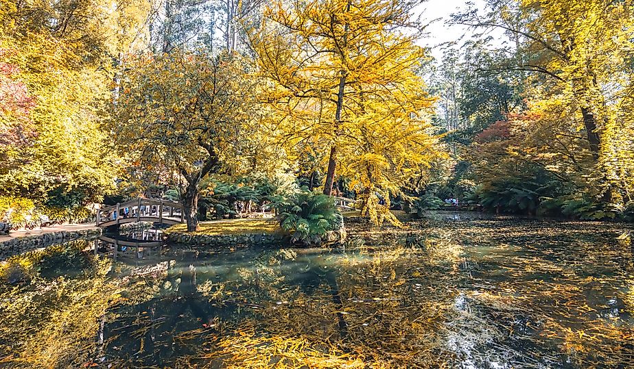 Alfred Nicholas Memorial Gardens on a warm sunny autumn day 