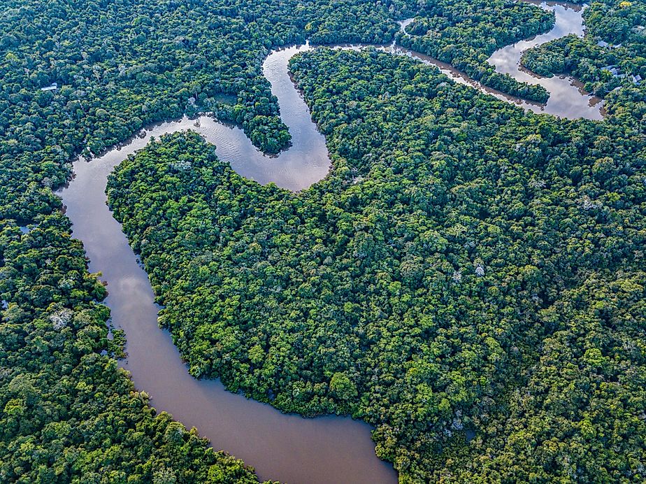 The Amazon River in the tropical rainforest