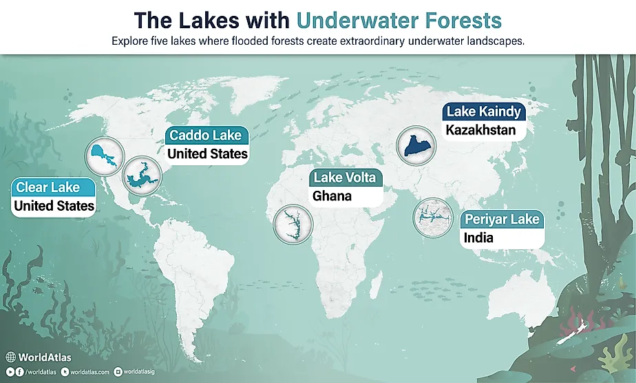 Infographic of the lakes with underwater forests. 