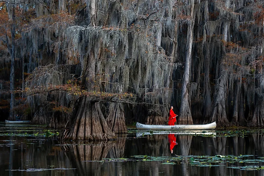 Woman in bright red dress standing in a canoe paddling under Bald Cypress Trees and Spanish Moss on Caddo Lake in Texas