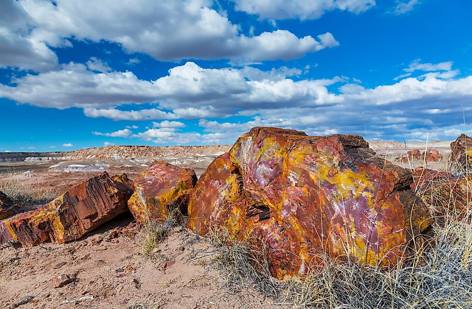 Petrified wood in the badlands of the Petrified Forest National Park in Arizona.