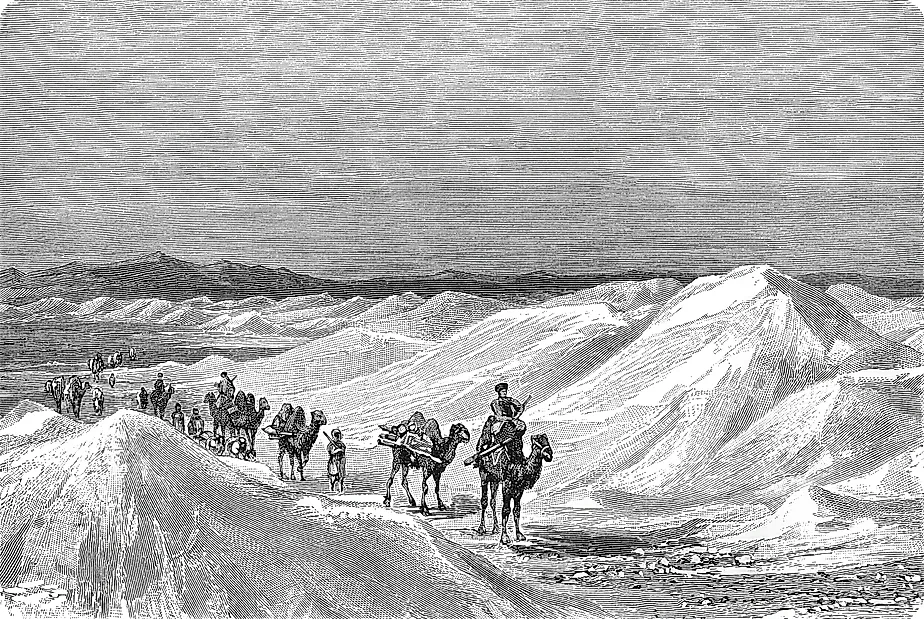 Mongolian Desert (Gobi) with Caravan