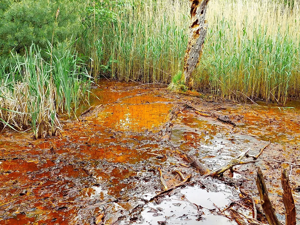 Water Pollution of Ohio River, USA Causes, Consequences, and Solutions
