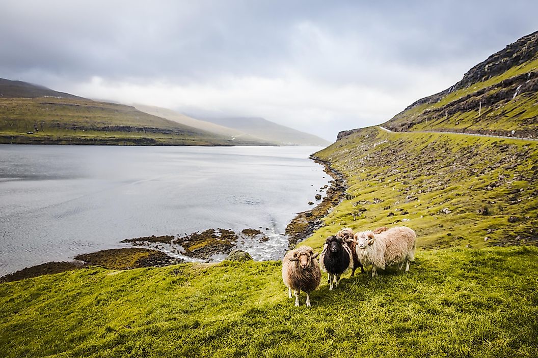 Faroe Island Picture