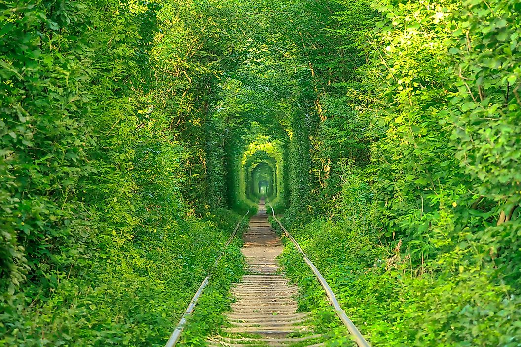The Tunnel of Love ~ One of the Most Interesting Facts about Ukraine