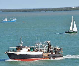 harbor boats