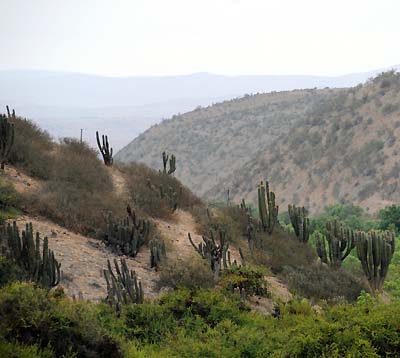 chile, coquimbo, chilean landscape