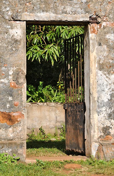 devils island, ile du diable prison