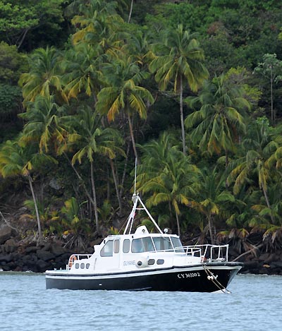 devils island, coconut palm scenery