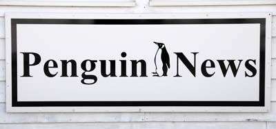 falkland islands, penguin news