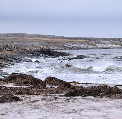 falkland islands, coastline