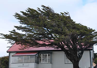 falkland islands, stanley weather conditions