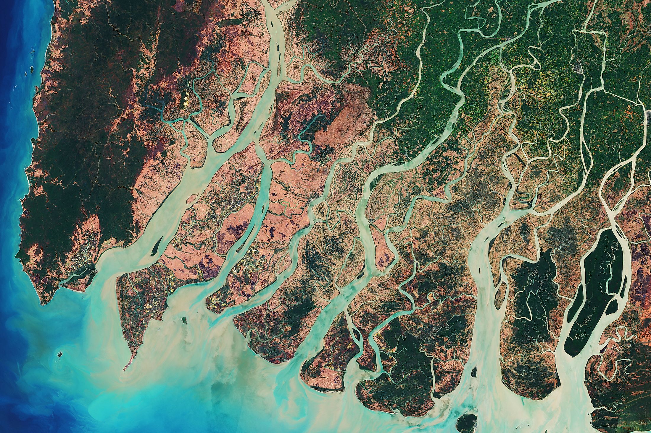 Aerial view of a river delta region.