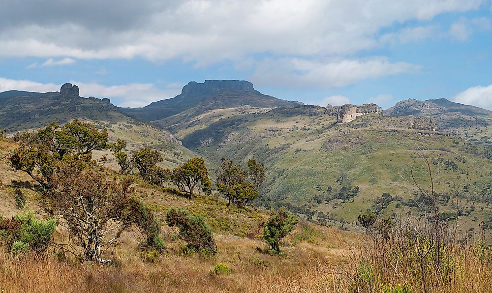 The Terik people originated from South Sudan and moved to Mt. Elgon before settling in western Kenya.