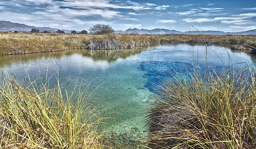 Poza Azul wetland in Cuatro Ciénegas, Mexico.
