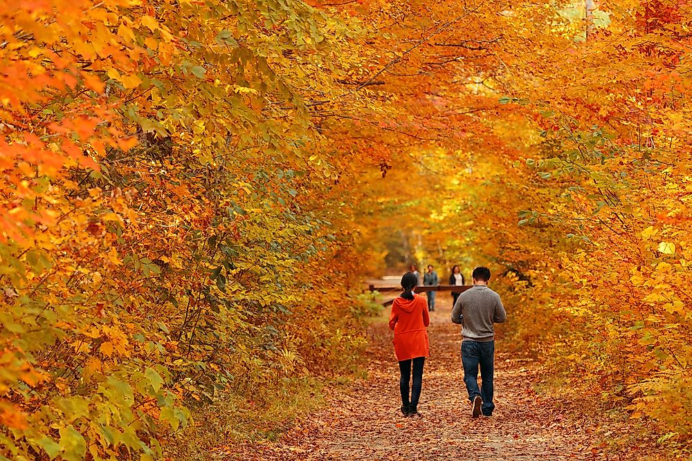 People walk through the autumn leaves in Vermont.