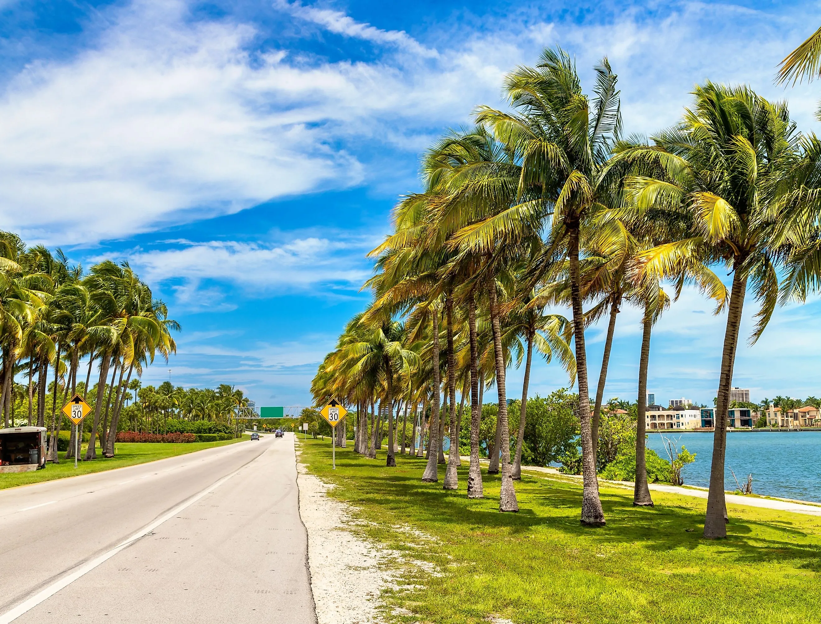 Palm trees and road in Miami Beach, Florida