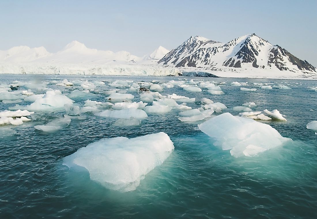 Ice floats due its density, and because of the intricacies of buoyancy versus gravitational force. 