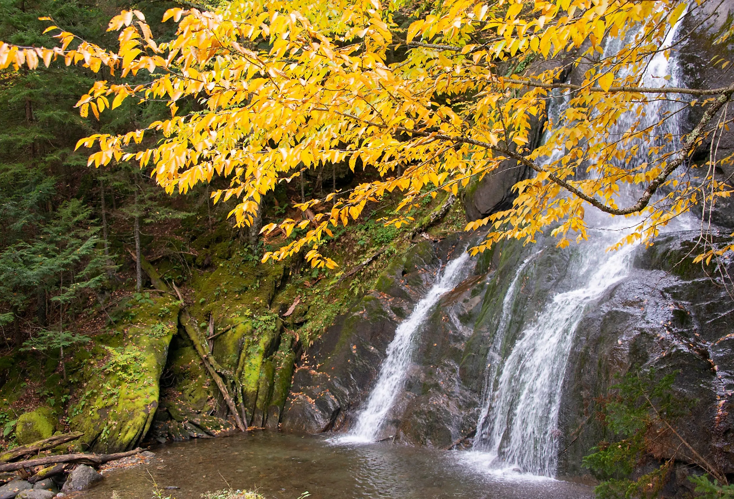 Fall foliage in Mad River Valley along the trail to Warren Falls, Vermont.