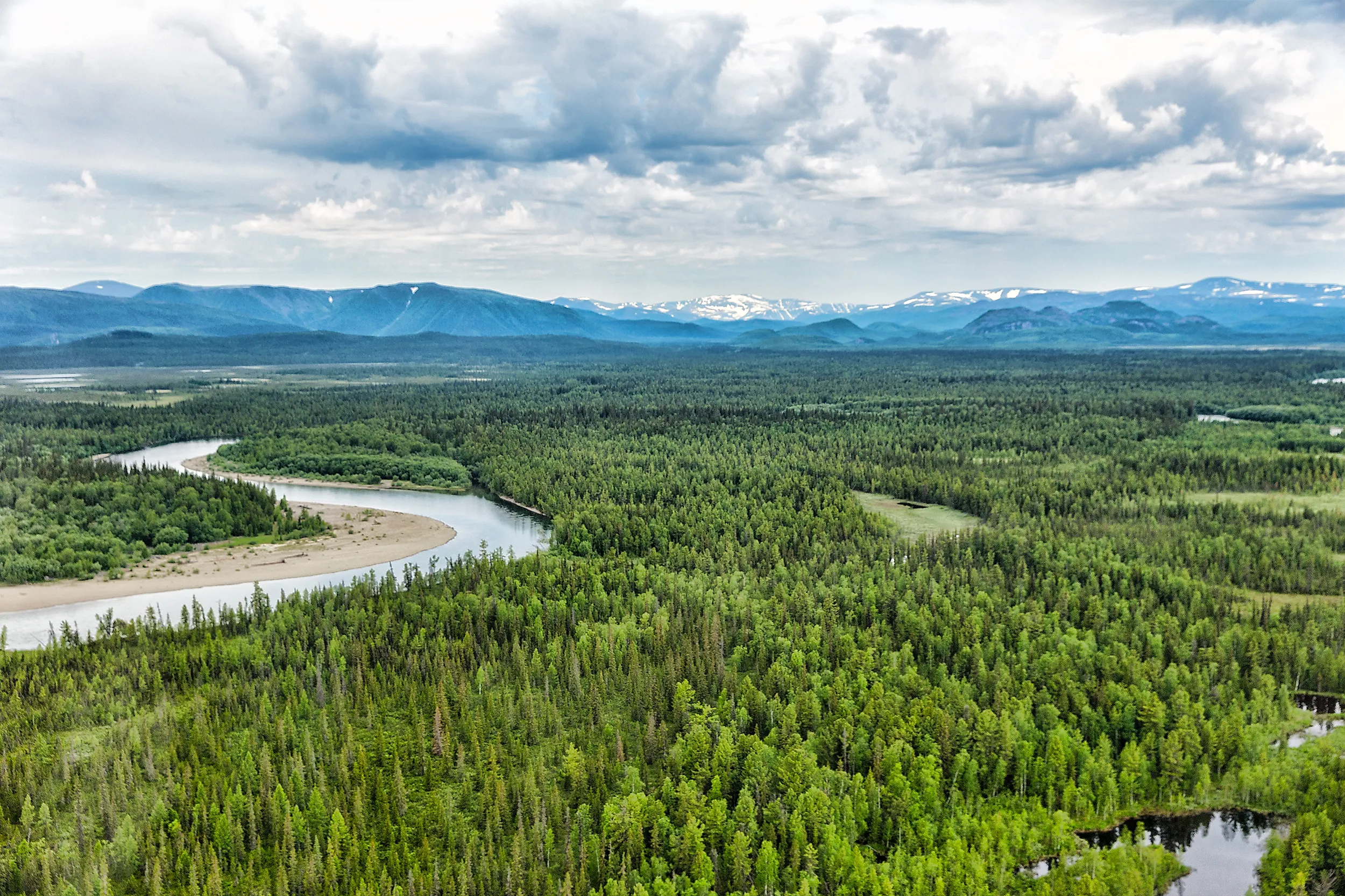 Taiga ecosystems in northern Europe.