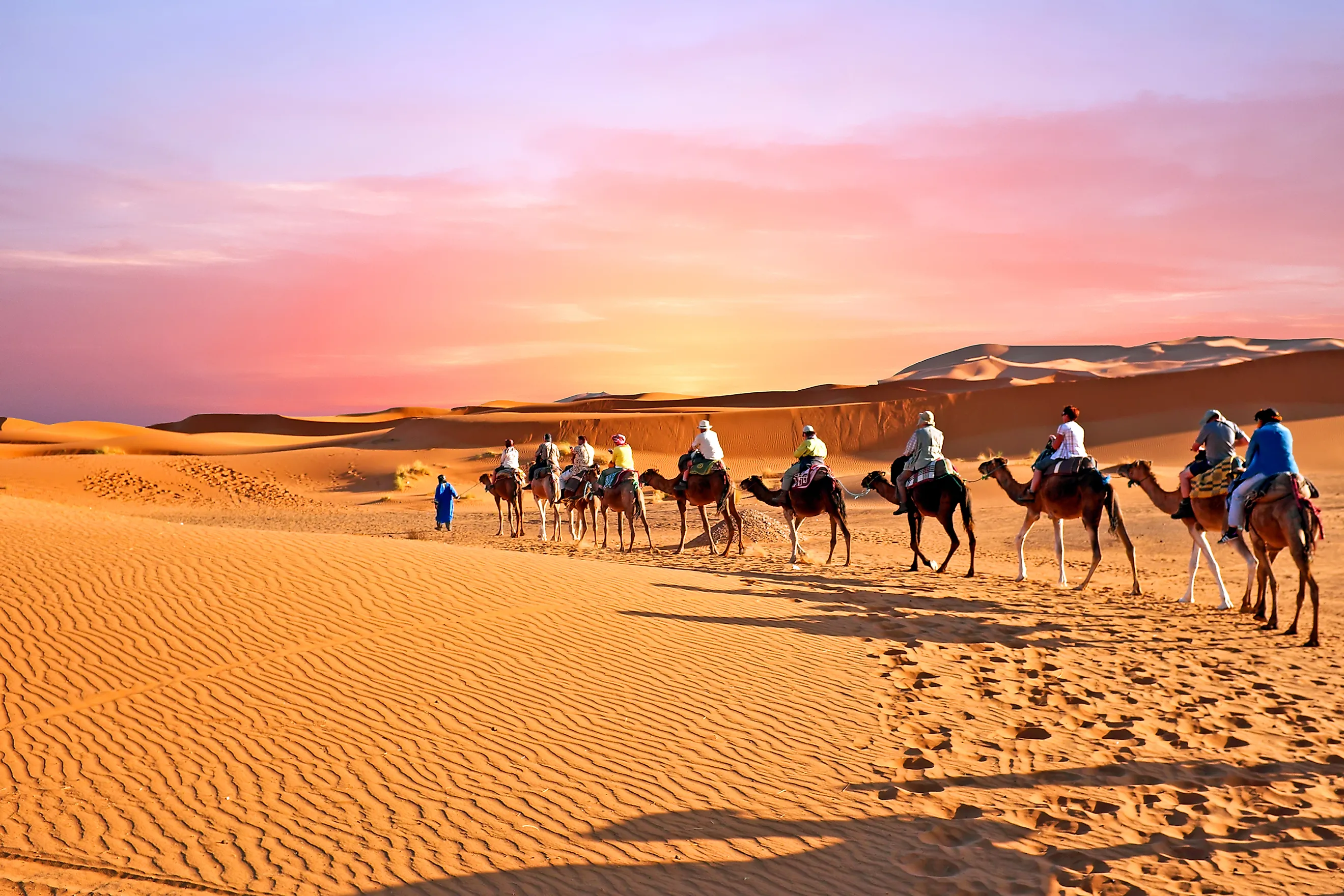 the largest desert in the world answer
