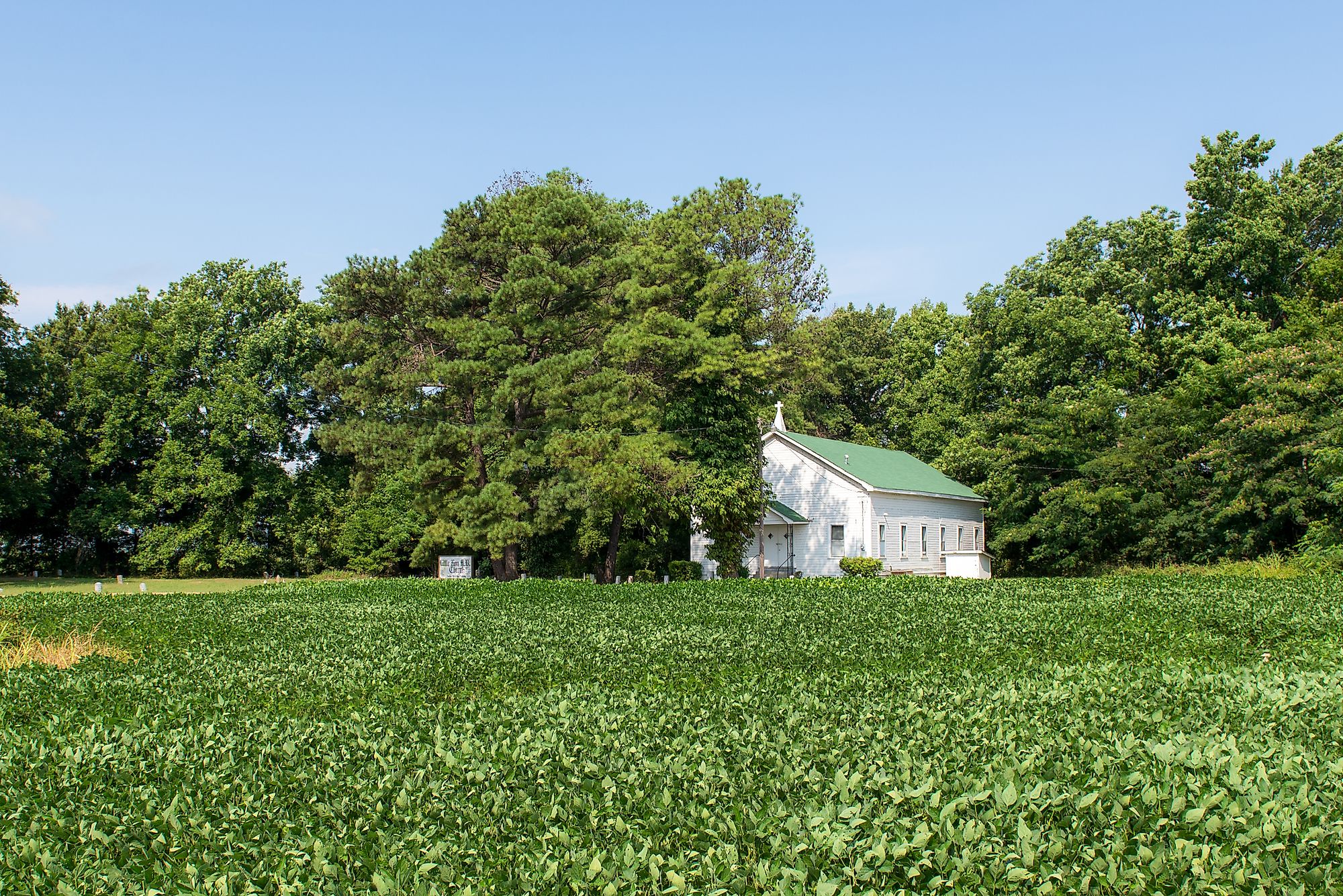 Greenwood, Mississippi. Editorial credit: jmanaugh3 / Shutterstock.com