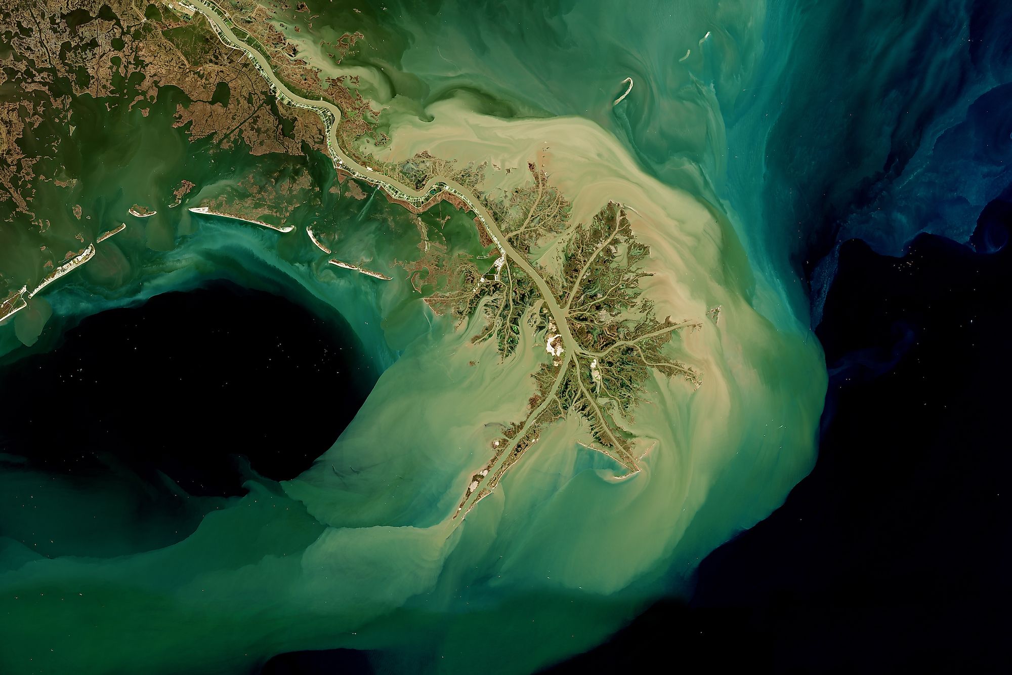 Delta of Mississippi River in Louisiana seen from space - contains modified Copernicus Sentinel data from ESA (Editorial credit: lavizzara / Shutterstock.com)