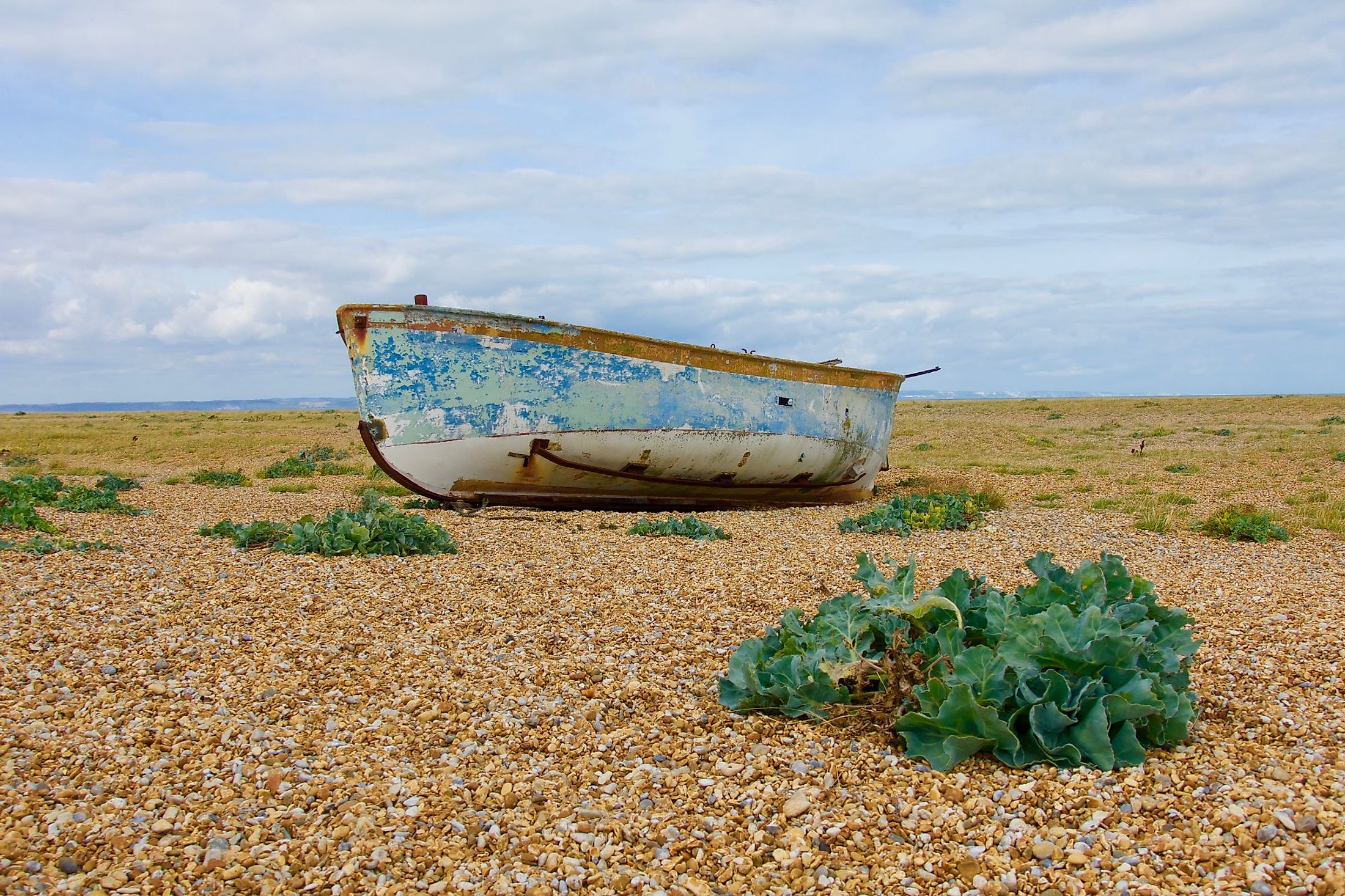 Abandoned fishing boat on a desert pebble beach with plants around in Dungeness, England. Editorial credit: Carina S / Shutterstock.com