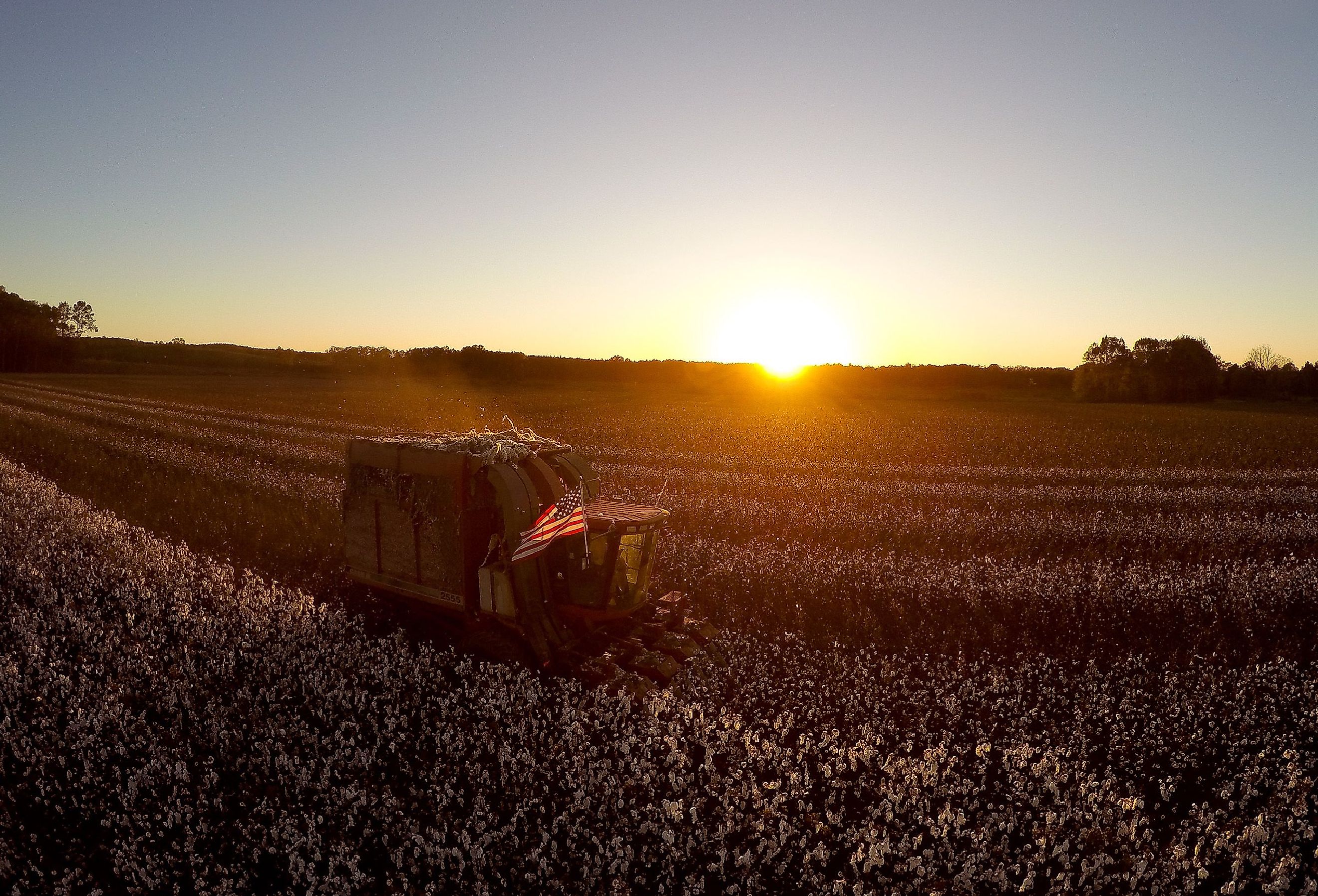 Beautiful cotton field sunset in Mississippi. Image credit CIRI Photography via Shutterstock