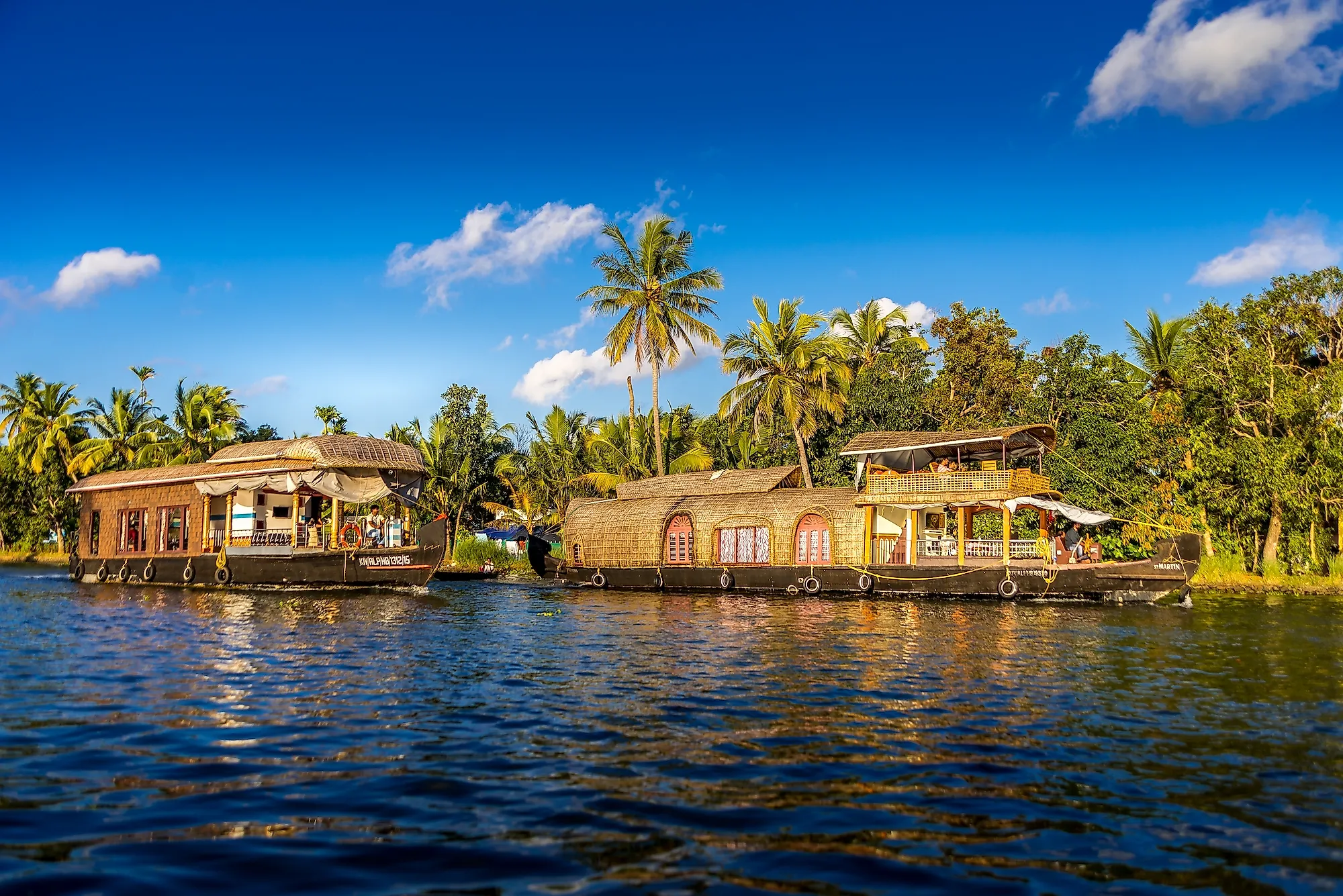 Houseboats in Alappuzha, India. Editorial credit: Paulharding00 / Shutterstock.com