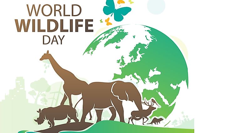 World Wildlife Day was celebrated on March 3rd.