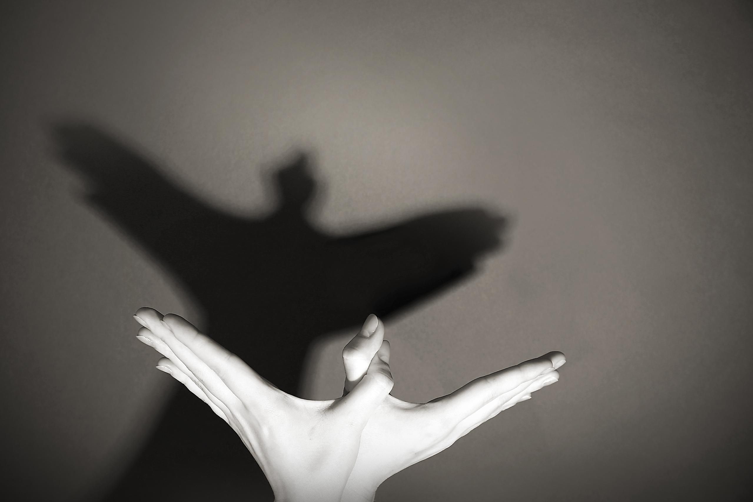 Shadows are everywhere around us, we see them almost constantly. But have you stopped to think about what they are exactly?