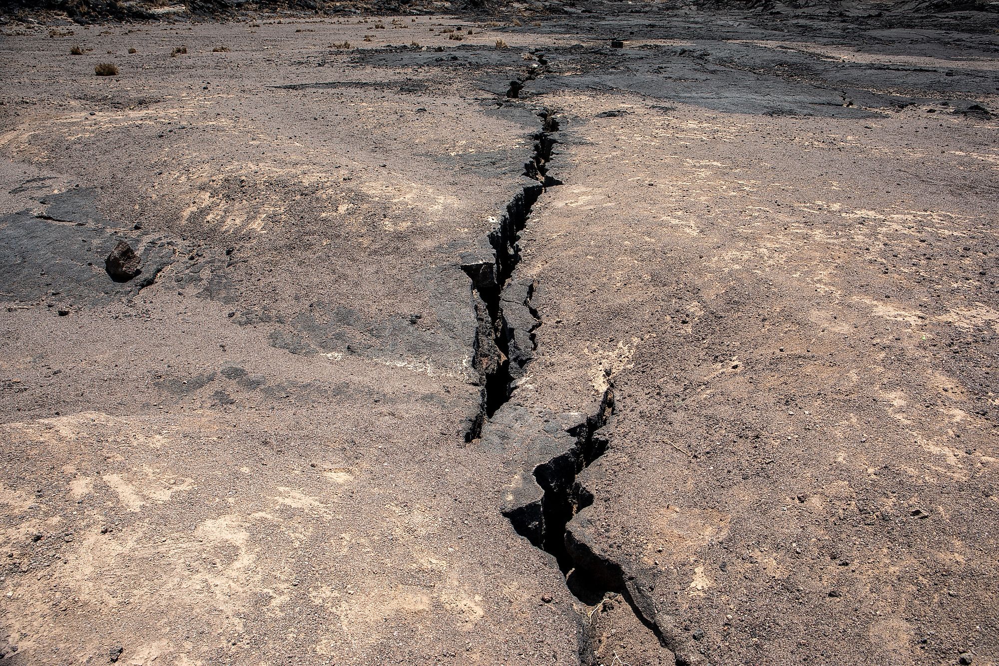 Africa Splitting 2024 Bobbe Chloris