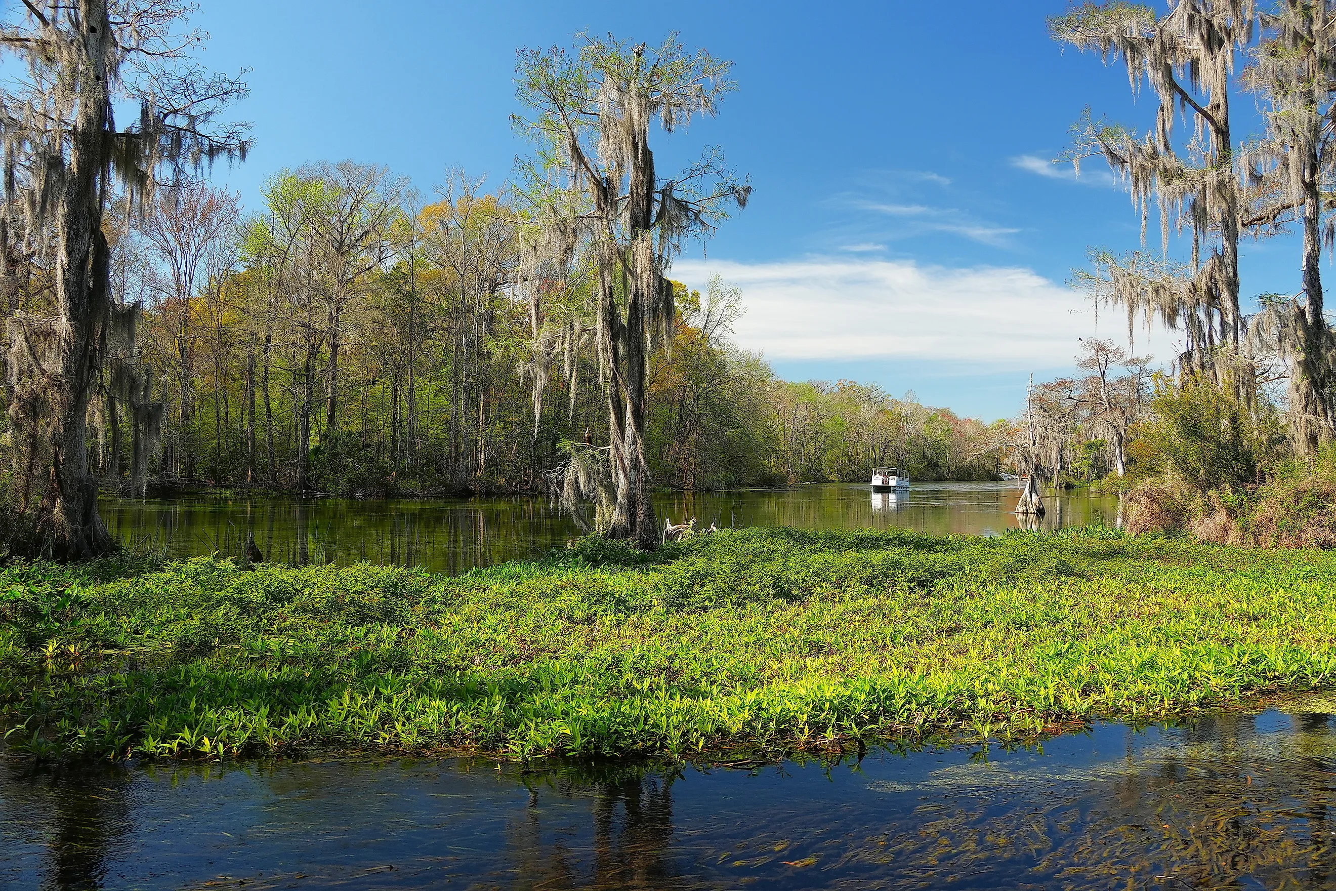 Boat on Wakulla Spring, Florida.
